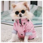 Windproof British Retro Padded Dog Raincoat - Image 2