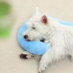 Pillow With Question Mark For Dogs And Cats, Universal Cushion For The Neck, For Sleeping, For All Four Seasons - Image 2
