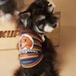 Dog Clothes Striped Polo Shirt Cute Sleeveless Vest - Image 7
