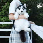 Husky Plush Simulation Bag Toy - Image 4