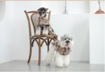 Coat Windbreaker Small Dog Pet Clothing - Image 4