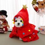 Autumn And Winter Christmas Pet Clothes Two Color Cloak Pet Cloak Shawl Dog Transfiguration - Image 3