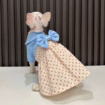 Hairless Cat Polka Dot Bow Skirt