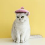 Pet Cat Dog Wool Felt Flower Hat - Image 10