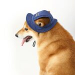 Pet Hat With Ear Holes For Medium Small Dogs Adjustable Summer Pets Dog Outdoor Sun Cap Cat Puppy Denim Color Canvas Visor Caps - Image 3