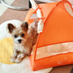 Pet Portable Tent Breathable Outdoor Ins Wind - Image 2