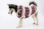 Big Dog Clothes Golden Retriever Samoyed Side Shepherd Medium And Large - Image 3