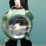 Going Out Portable Space Pet Alarm Clock Cat Bag - Image 7