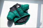 Windproof And Rainproof Dog Winter Warm Pet Cotton-padded Clothes - Image 6
