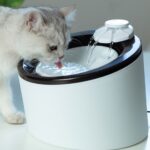 Automatic Drinking Machine For Cats And Dogs