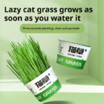 Lazy Cat Grass Canned Hydroponic Soilless Depilation Ball Digestive Snacks