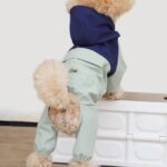 Pet Small And Medium Sized Dog Waterproof And Dustproof Shell Jacket