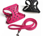 Adjustable Dog Camisole Stylish Studded Leather Leash - Image 2