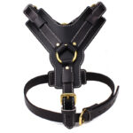Black Cowhide Pet Leather Chest Strap - Image 2