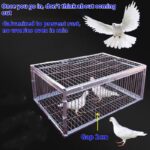Outdoor Household Roof Only-in-no-out Pigoen Cage - Image 5