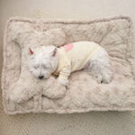 Little Rabbit Velvet Cloud Nest Deep Sleeping Dog - Image 5