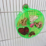 Parrot Supplies Toy Bird Acrylic Foraging Wind Wheel - Image 10