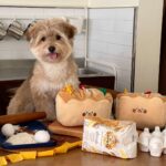 Bread Toast Sniffing Tibetan Food Toys - Image 5