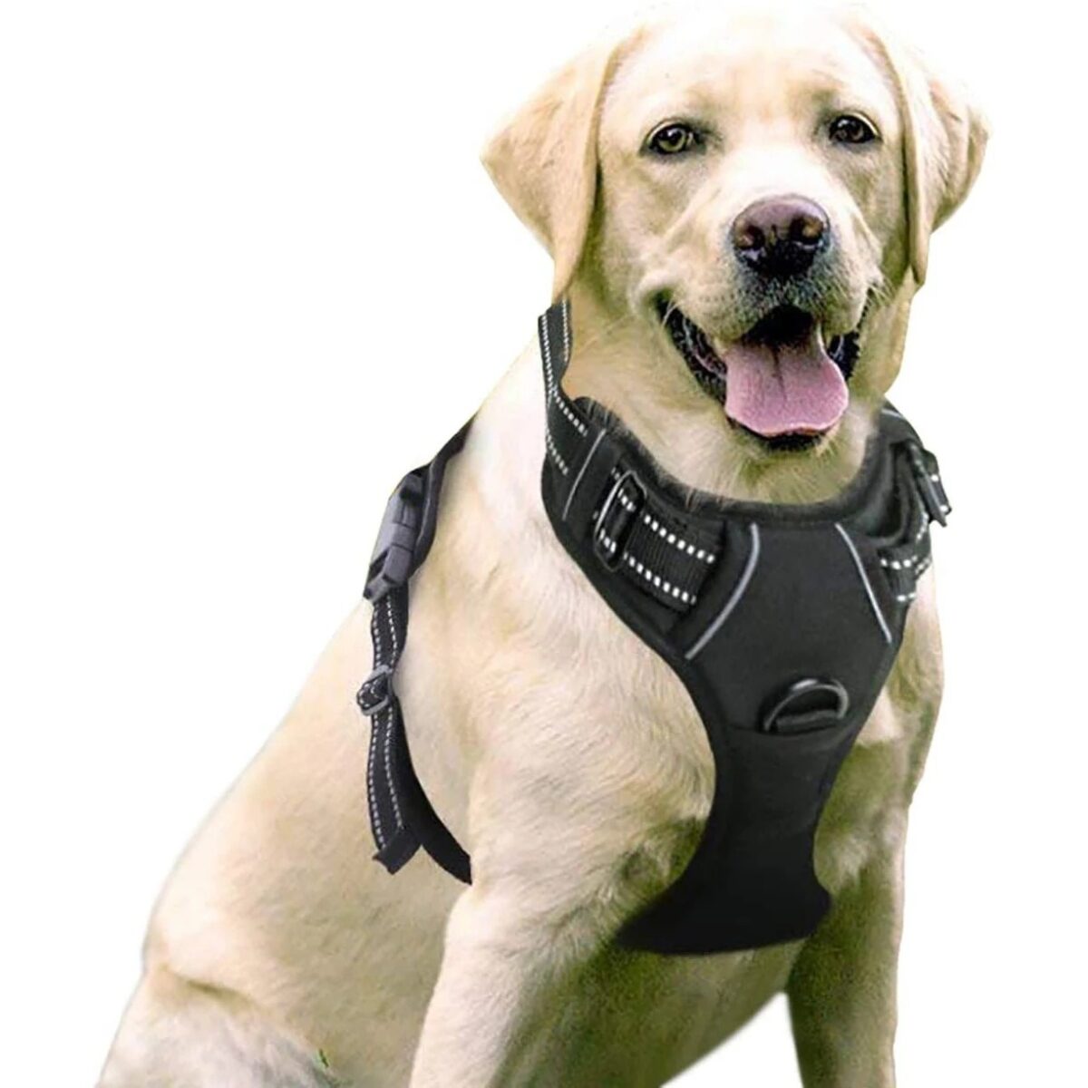 Pet Hand Holding Rope Chest And Back Nylon Dog Rope - Image 3