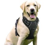 Pet Hand Holding Rope Chest And Back Nylon Dog Rope - Image 3