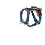 Dog Leash Explosion-proof Puppies Type - Image 4