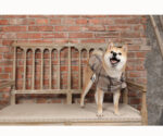 Coat Windbreaker Small Dog Pet Clothing - Image 2