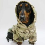 Camouflage Velvet Padded Hooded Sweatshirt Double-sided Velvet Pet Clothes - Image 2