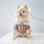 Pet Two Legged Clothes Autumn And Winter Plaid Warm Lamb Velvet - Image 2