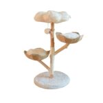 Natural Fruit Tree Cat Climbing Frame Solid Wood Rattan Cat Nest Cat Tree - Image 5
