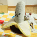 Banana Sisal Scratching Pole Vertical - Image 3