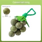 Creative New Catnip Toys, Peppermint Grape Skewers, Cat Sticks, Teething And Bite Resistant Gall Fruit Cat Toys - Image 4