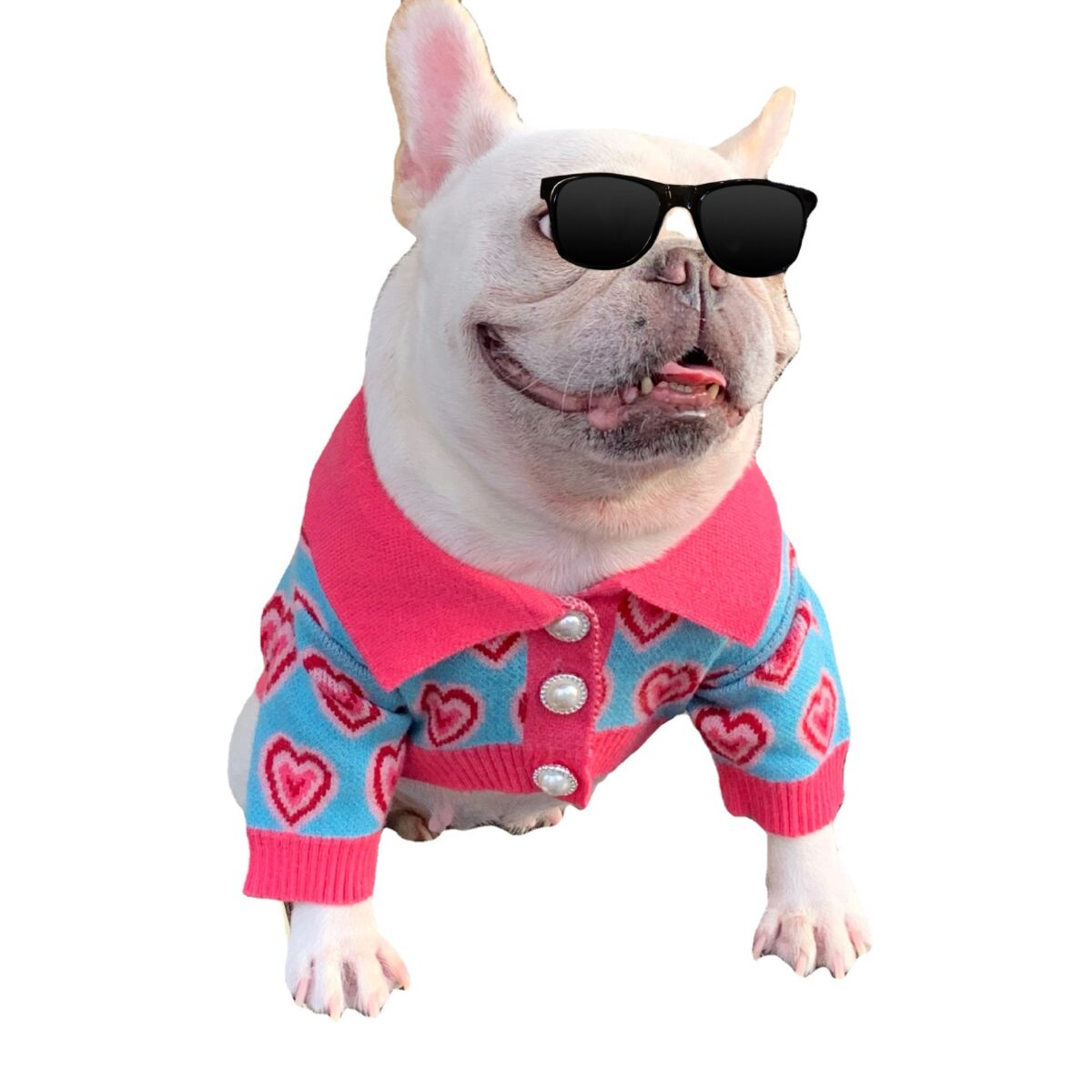 Pet Trendy Dog Sweater Cat French Schnauzer - Image 2