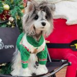 Dog Sweater Christmas Style Wool Dog Sweater - Image 3