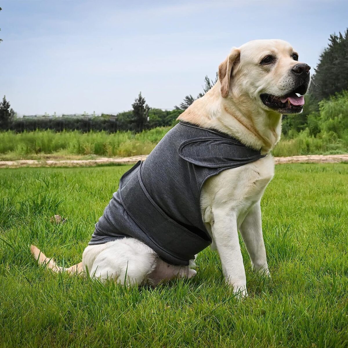Classic Dog Anxiety Jacket Breathable Thunder Vest For Dogs Thunder Vest For Dogs Anxiety Shirt Dog Clothes For Anxiety Stress - Image 3