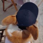 New Adjustable Sun-proof Exposed Ears Pet Hat - Image 10