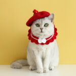 Pet Cat Dog Wool Felt Flower Hat - Image 7