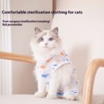 Cat Sterilization Clothing Post-operation Printing Series Four Seasons