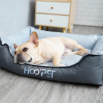 Dogs Bed Summer Pet Bed Soft Dog House New Nest With Removable Cover Small Medium Bed Dog Mattress Cat Cave Soft Pet Bed - Image 5