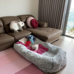 Giant Dog Kennel Super Large - Image 2