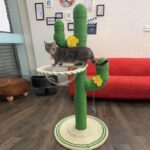Cactus Cat Climbing Frame Self-made Diy Complete Material Package - Image 3