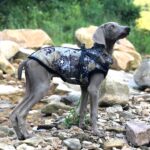 Winter Warm Camouflage Big Dog Shell Jacket Waterproof Reflective Cotton-padded Coat - Image 9