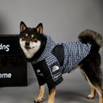 Fashion Brand Windproof And Rainproof New Dog Raincoat Shell Jacket - Image 6