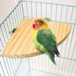 Climbing And Playing Bird Cage Accessories Toy Solid Wood Jumping Platform Standing Board - Image 2