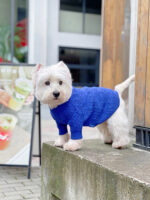 Bichon Corgi Warm And Thick Winter Clothes - Image 7