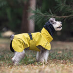 Pet Dog Small And Medium-sized Dogs Waterproof Universal Poncho - Image 7