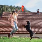 Pet Plush Toy Octopus Dog Puzzle - Image 2