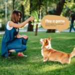 Hot-selling Pet Plush Toys Sound And Bite-resistant Companionship Golden Retriever Magic Fight Teddy Dog Toys New Doll - Image 3