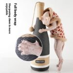 Vertical Suction Cup Grinding Claw Bottle Cat Climbing Rack - Image 4