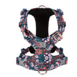 Fashion Personality Pet Chest Pull-resistant Strap - Image 4