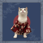 Pet Japanese Clothes Dog Kimono Fighting - Image 5